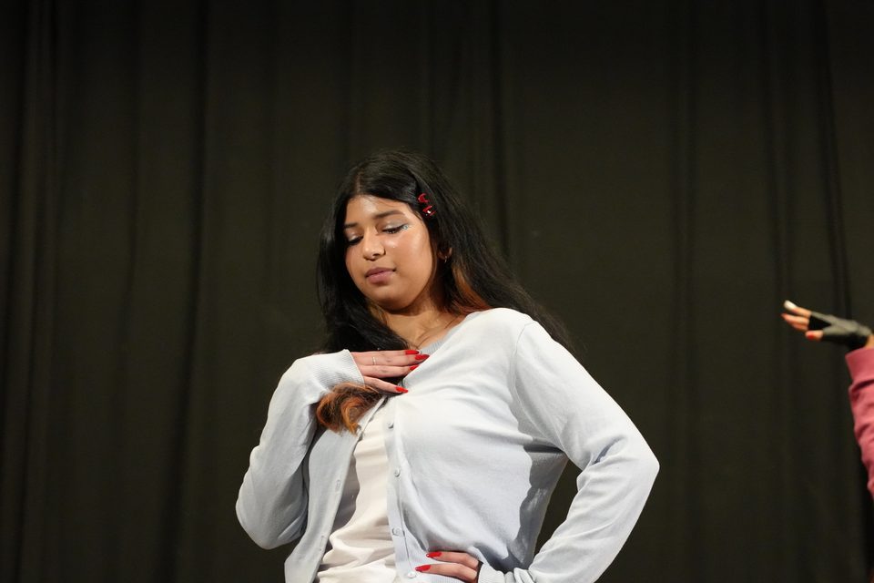 Desi Dhamaal Vol. 2 — Naach Reloaded, Sat 22 Nov 2025, Stockholm (12 of 26)